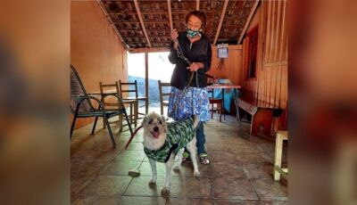 Companheiro de Delinha, morre cachorro da cantora em MS