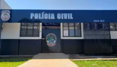 Idoso procura polícia e denuncia envenenamento de cinco gatos em cidade de MS