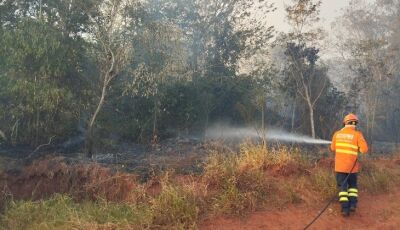 Bombeiros combate incêndio florestal em cidade de MS