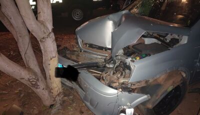 Jovem bêbado bate carro em árvore e tenta abandonar amigo ferido em cidade de MS