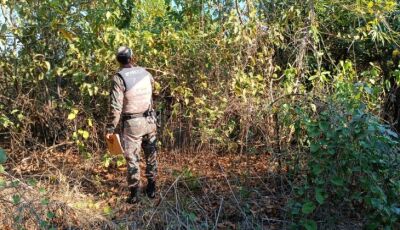 Trabalho conjunto entre Governo de MS e Ministério Público apura causas de incêndios no Pantanal