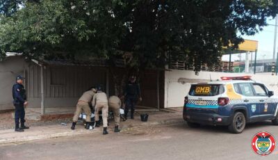 Homem em surto psicótico se joga na frente de veículos e acaba detido pela GMB em Bonito