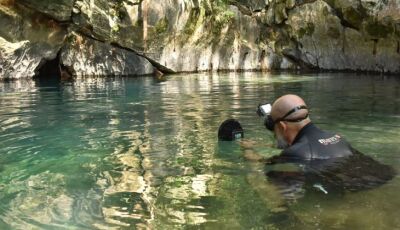 Cascudo criticamente ameaçado de extinção é avistado em caverna de Bonito após 20 anos