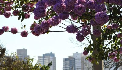 Julho começa com frio em MS e temperatura sobe ao longo da semana