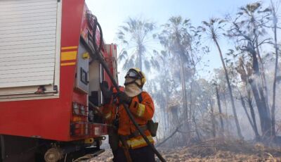 Com seis focos ativos, incêndios no Pantanal são intensificados devido a condições climáticas 