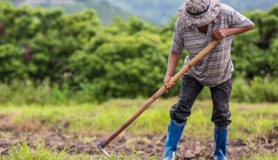 Investimento na agricultura familiar sobe 130% em edital de extensão da Fundect