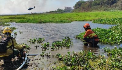 Serra do Amolar, Porto da Manga e Rabicho concentram esforços dos Bombeiros no Pantanal