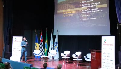 Potenciais econômicos de MS são apresentados em feira de biomassa, compostagem e floresta