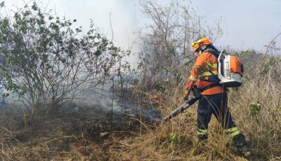 Pantanal de MS tem umidade em 10% e focos ativos em diferentes regiões