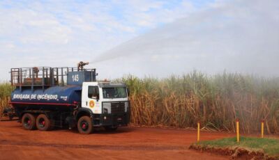 Governo e setor de bioenergia intensificam estratégias de prevenção e combate a incêndios em canavia