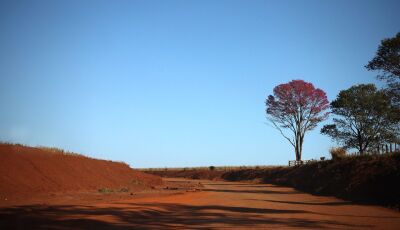 Com sol e nebulosidade, sexta-feira registra baixa umidade relativa do ar em Mato Grosso do Sul