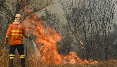 Fogo e fumaça se intensificam no Pantanal e combate aos incêndios em MS continua a ter reforços