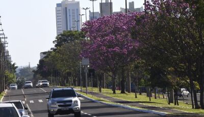 Terça-feira promete ser de sol e tempo firme em Mato Grosso do Sul, mas frio permanece