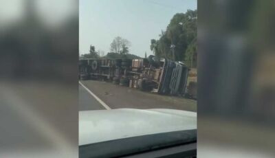 Carreta com silagem tomba em curva de rodovia em MS