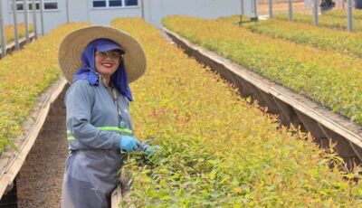 Mulheres ocupam 85% das vagas em viveiro de mudas e mostram a força da inserção no mercado  