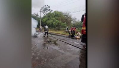 Moto pega fogo após colidir contra vaca em Mato Grosso do Sul