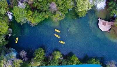 Descubra as Belezas do Eco Park Porto da Ilha: Diversão para Toda a Família