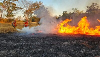 Pantanal de MS tem quatro focos de incêndios ativos e trabalho de combate no bioma completa 198 dias