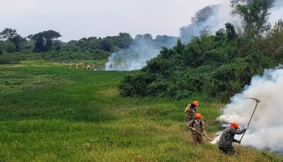 Em 12 dias, chuvas acima da média contribuem para controlar focos de incêndios no Pantanal de MS