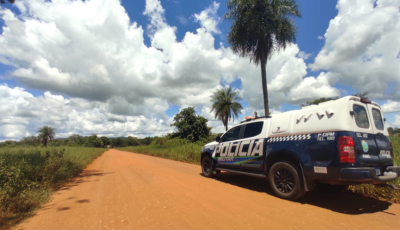 Caseiro é preso em Bonito por furto de animais em propriedade rural