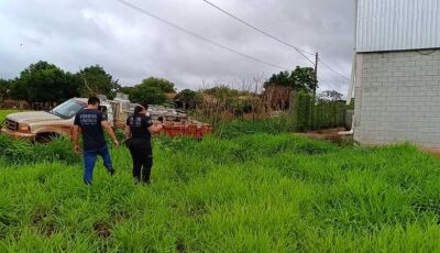 Corpo em avançada decomposição é encontrado em terreno baldio em MS