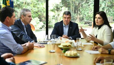 Com Riedel e Simone Tebet, Paulo Corrêa debate endividamento rural e apoio ao agronegócio em MS