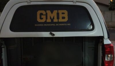 Mulher é detida por ameaça e desobediência em Bonito
