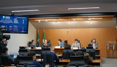 CCJR aprova projeto que reconhece símbolo de identificação de pessoas com fibromialgia