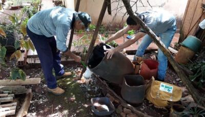 MS registra 3.285 casos confirmados de dengue