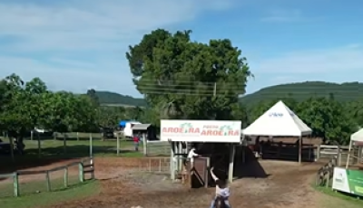 1° Rodeio de Bonito durante a 33ª Festa do Peão de Boiadeiro não poderá ser realizado