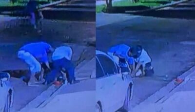 Dupla que matou Pitbull enforcado é identificada pela polícia 