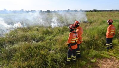 Para proteger parque e propriedades no Pantanal, Governo de MS realiza ação inédita de queima  