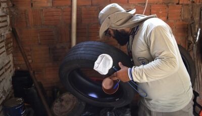 Dengue recua em MS, mas avanço da Chikungunya acende alerta de que cuidados precisam ser mantidos