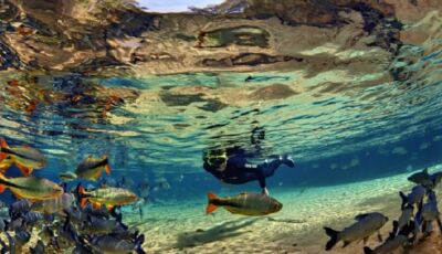 MS apresenta seus principais destinos em evento global de turismo de aventura nos EUA  