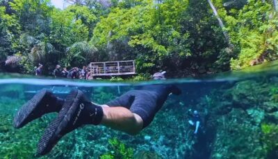 Venha Viver um Contato Singular com a Natureza na Nascente Azul em Bonito - MS