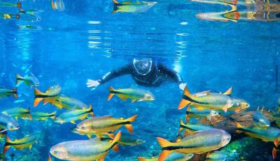 Nascente Azul: Flutuação Perfeita em Qualquer Estação
