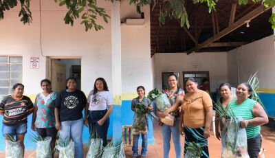 PAA fortalece agricultura familiar e combate à insegurança alimentar em Bodoquena