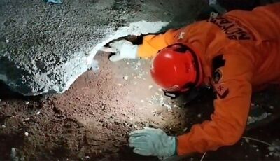 Cachorrinha fica presa em buraco de cimento e é resgatada em MS