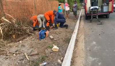Guardas municipais auxiliam bombeiros em resgate de acidente de trânsito
