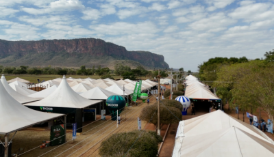 Economia criativa e agricultura familiar levam shows, feiras, cultura e informação para o Pantanal 
