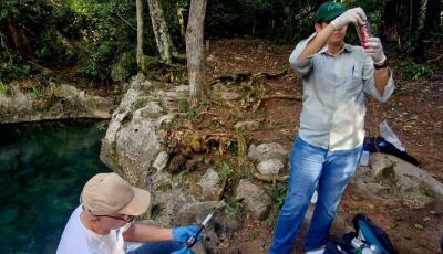 Pesquisadores da UFRJ iniciam estudo ambiental na bacia do Rio Formoso e monitoramento seguirá 