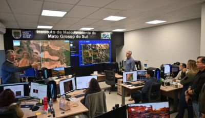 MS tem monitoramento ambiental para identificar desmatamento e queimadas