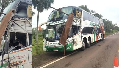 Falha na pista pode ter motivado acidente com mortes em MS