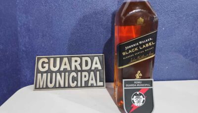 Ação rápida da Guarda Municipal prende autor de furto a conveniência
