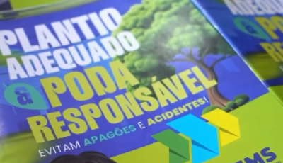 Bonito é pioneira em acordo para manejo seguro da vegetação urbana