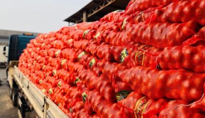 Aumento na oferta barateia cebola e pimentão verde, mas frio eleva preço das frutas