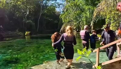 Nascente Azul: O Azul Mais Cristalino do Brasil Está em Bonito