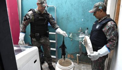 Polícia Militar Ambiental lembra que animal silvestre não é pet e esclarece quando dúvidas