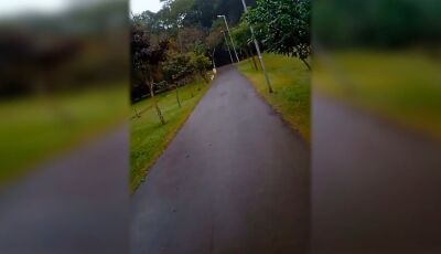 Mulher grita por socorro e é salva de tentativa de estupro em MS