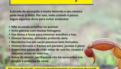 Prefeitura de Bonito orienta população sobre prevenção contra escorpiões